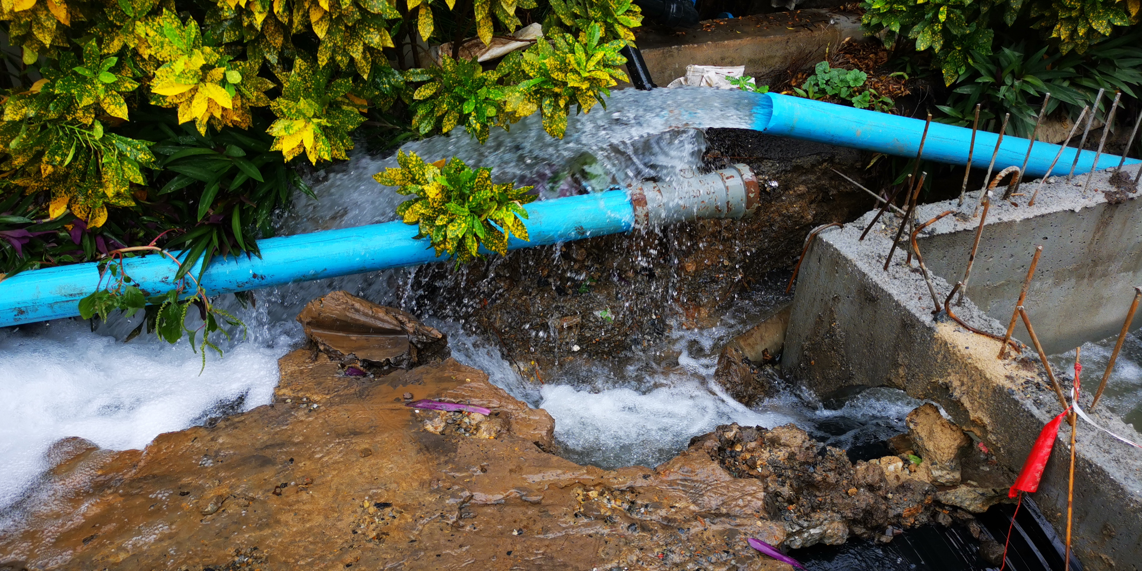 drain line repair services in Campbell CA